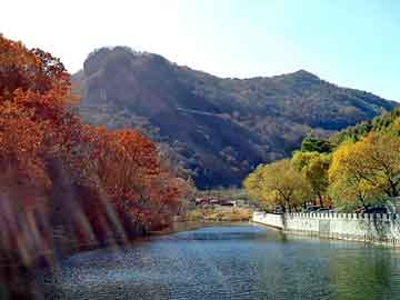 新澳天天开奖资料大全旅游团，殃及池鱼的上一句